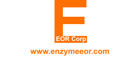 www.enzymeeor.com