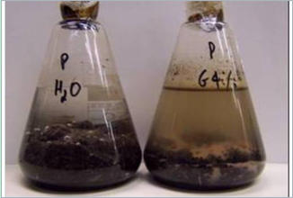 Greenzyme Petrobras paraffinic oil lab test