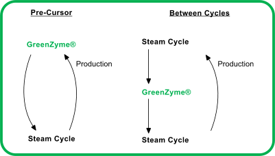 Greenzyme Steam EOR Cycle