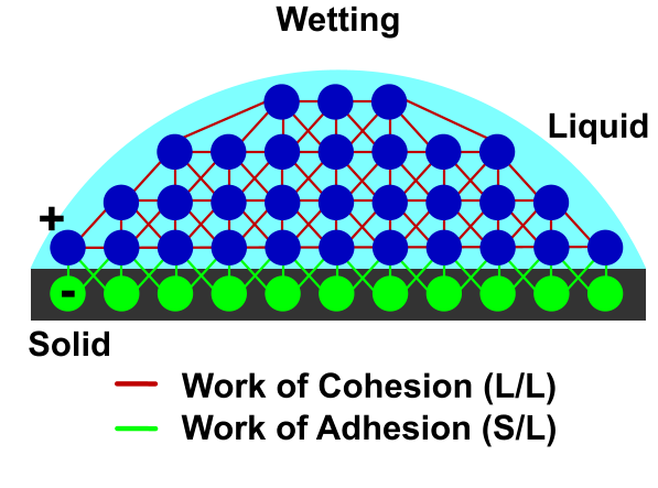 Wetting Liquid Solid Work of Cohesion (L/L) Work of Adhesion (S/L) + -